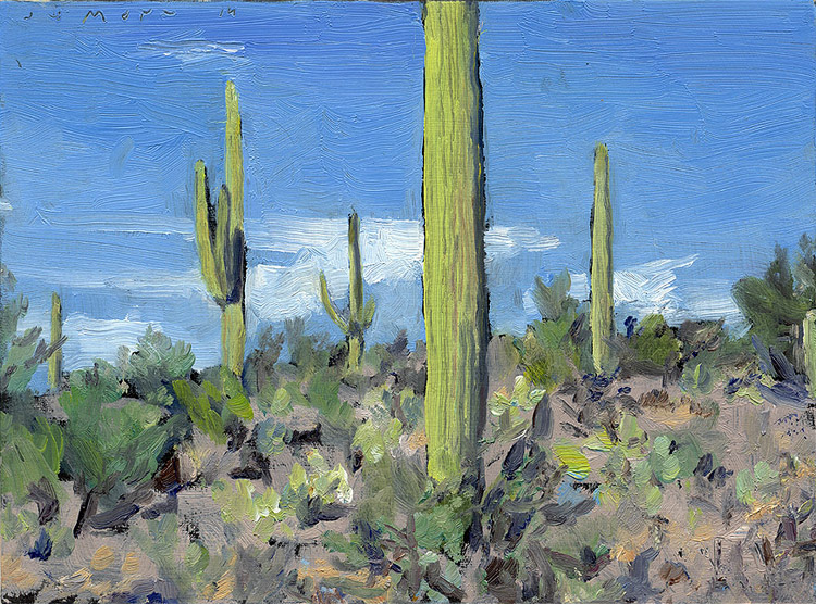 Jim Mott's saguaro from his stay in Tuscon