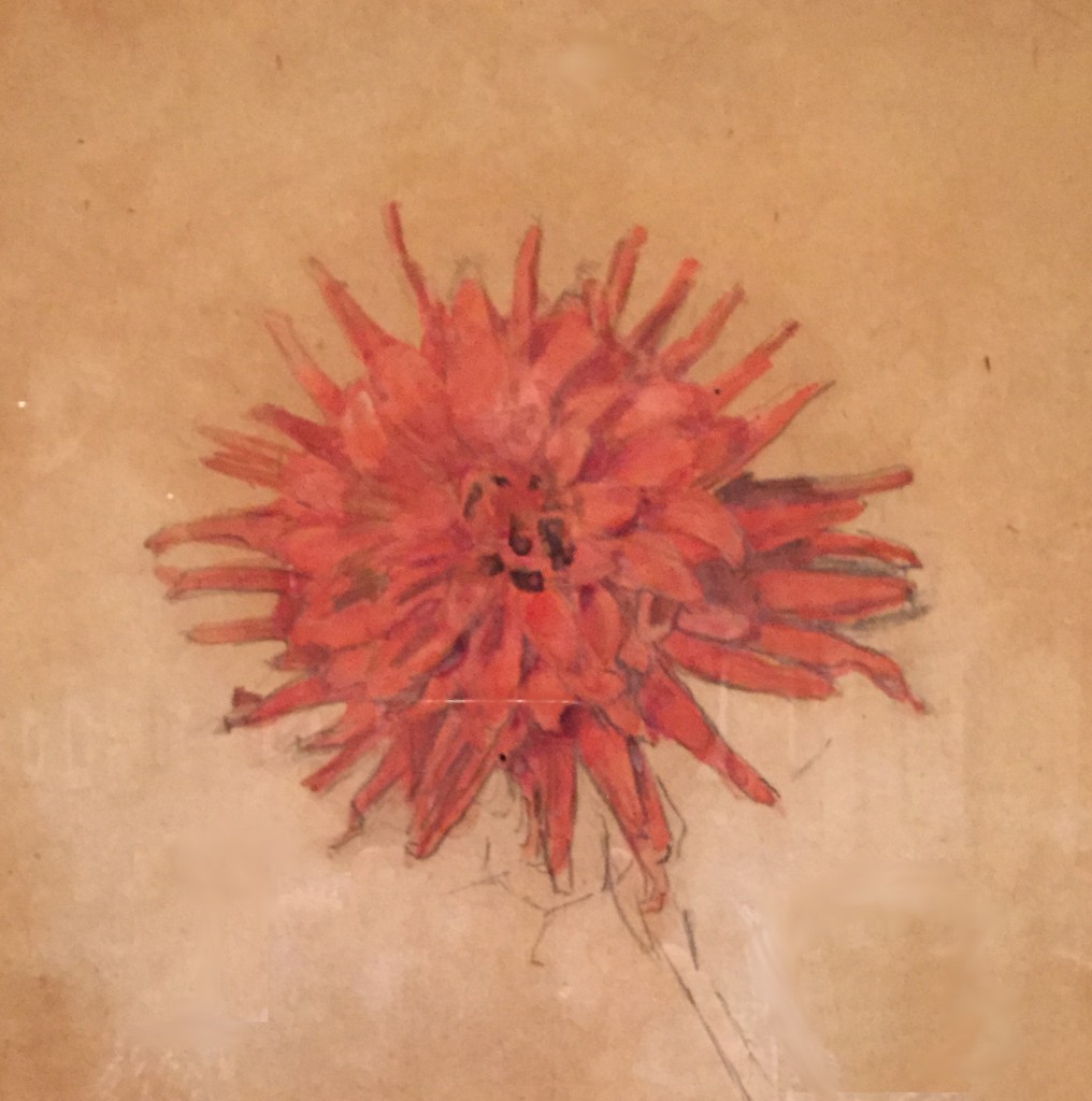 Piet Mondrian, Red Dahlia1907, Opaque and transparent watercolorover graphite on paper.12 7/16 x 9 7/8 inches Morgan Library 
